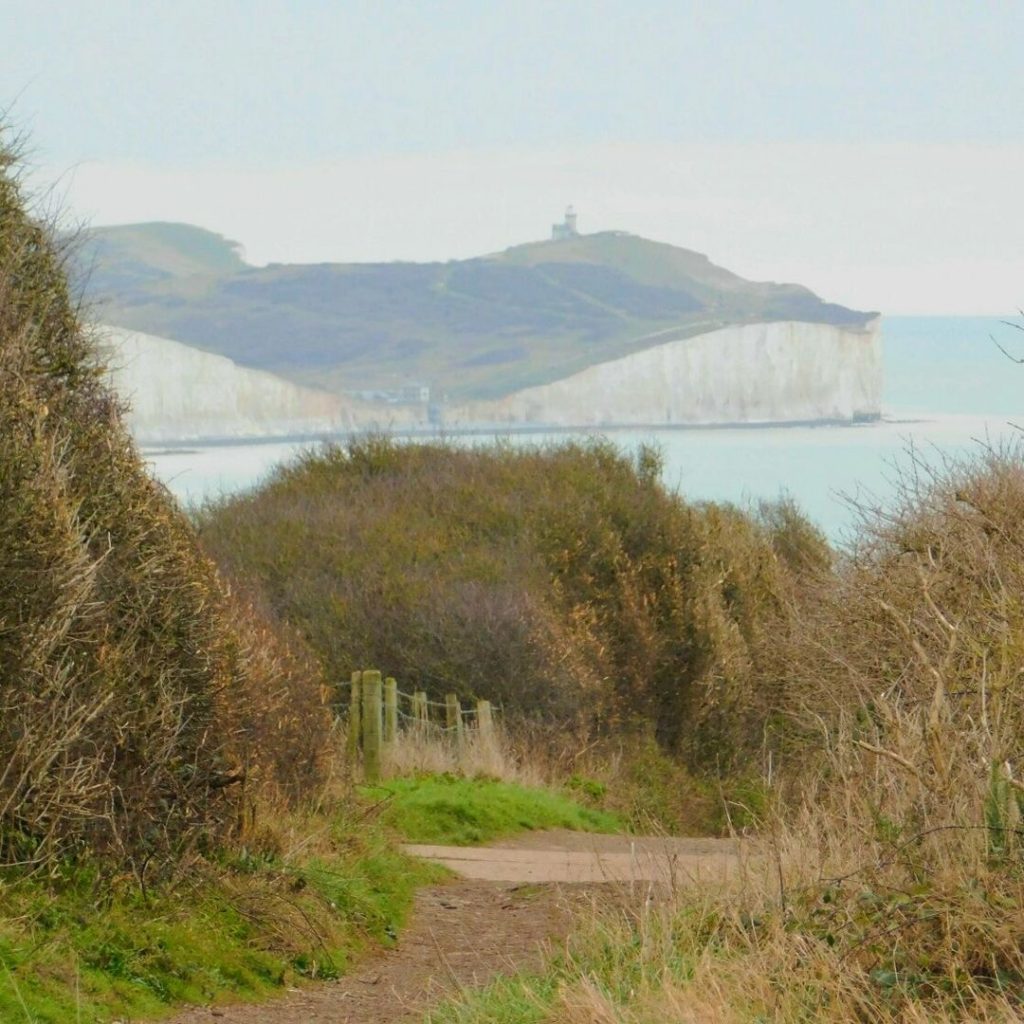 Causes of Stiff Joints at Menopause Wellsprings Health & Hormones